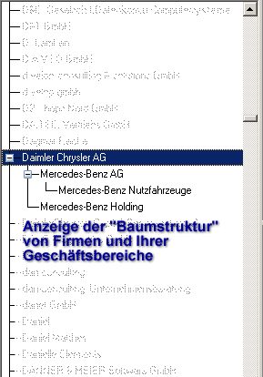 Screen Firmenhierachie