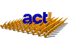 Act! Optimierung